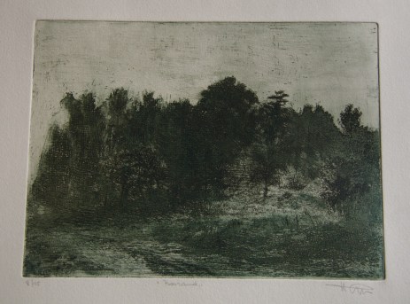 ets_louisvangorp_bosrand